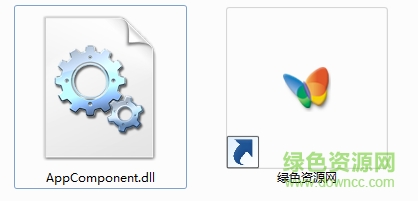 AppComponent.dll文件  0