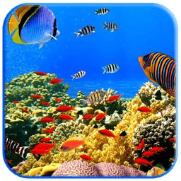 熱帶魚水族箱屏幕保護程序