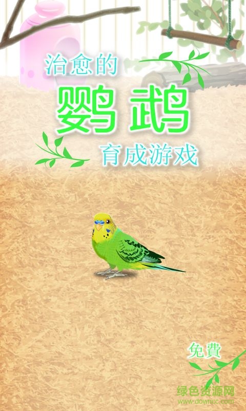 治愈的養(yǎng)成鸚鵡 v1.0 安卓版 0