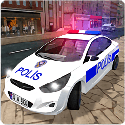 真實警察駕駛模擬器
