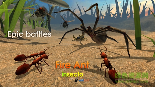 火蚁模拟器最新版(Fire Ant) v3.2 安卓版1