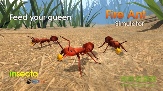 火蚁模拟器最新版(Fire Ant) v3.2 安卓版3