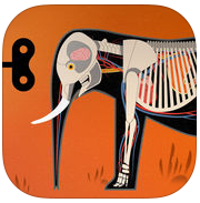 哺乳动物Mammals by Tinybop游戏