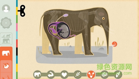 哺乳动物Mammals by Tinybop游戏 v1.0.2 安卓版0