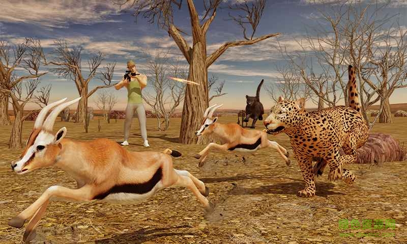 狙击猎手野生动物园游戏 v1.0.1 安卓版2