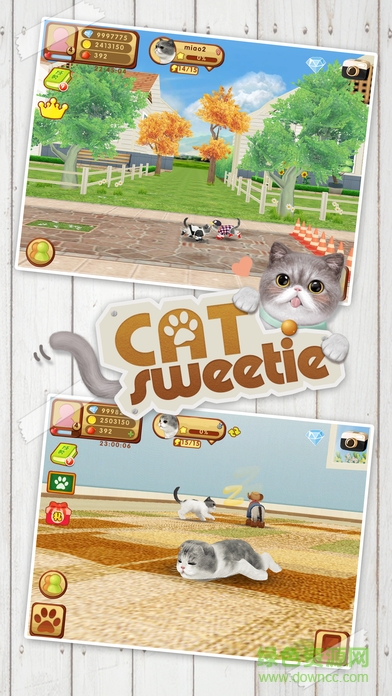 心动小猫游戏免费版 v1.36.2 安卓最新版2