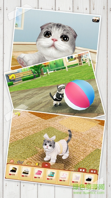 心动小猫游戏免费版 v1.36.2 安卓最新版1