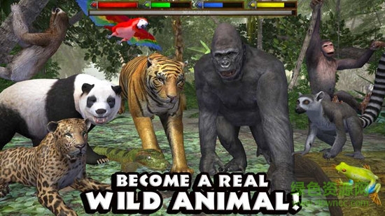 丛林动物模拟器