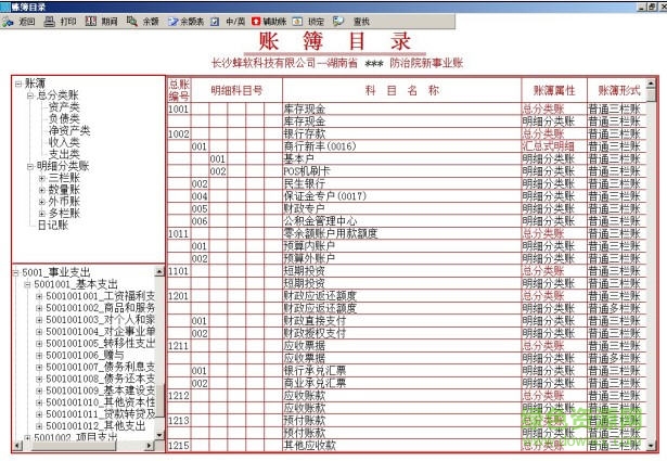 小蜜蜂財(cái)務(wù)軟件 v6.0 綠色版 0