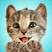 Little-Kitten我最喜爱的猫猫游戏