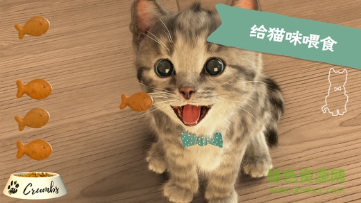 Little-Kitten我最喜爱的猫猫游戏 v1.1.9 安卓版1