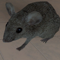 模拟老鼠游戏修改器
