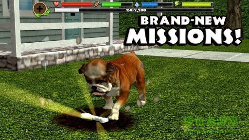 流浪狗模拟器正式版(Stray Dog Sim) v1.4 安卓版2