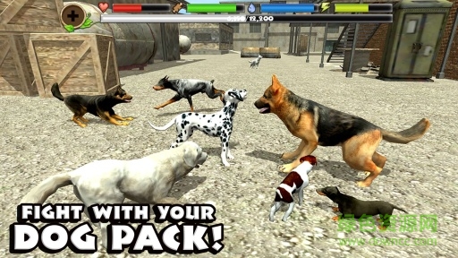 流浪狗模拟器正式版(Stray Dog Sim) v1.4 安卓版3