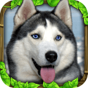 流浪狗模拟器中文版(Stray Dog Sim)