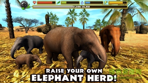 大象模拟器无限经验(Elephant Sim) v1.2 安卓版1