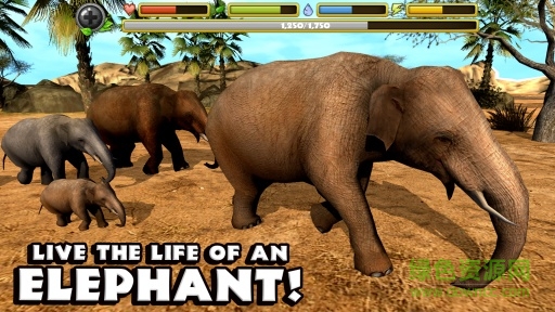 大象模拟器无限经验(Elephant Sim) v1.2 安卓版2