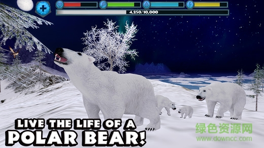 北极熊模拟器中文版 v1.0 安卓版3