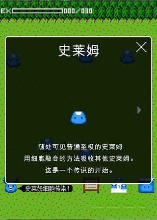 史莱姆的传说中文 v1.0 安卓版1