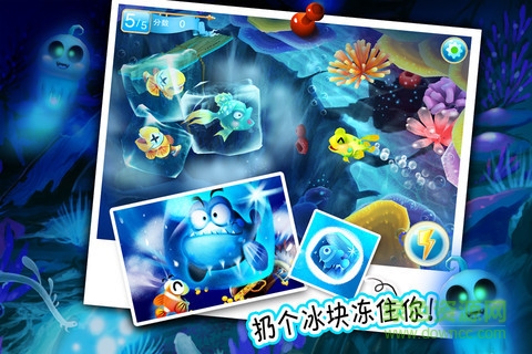 樂樂魚聚會(huì)夏日版手機(jī)端 v1.9.2 安卓版 0