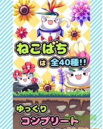 盆栽猫咪游戏 v1.2 官网安卓版0