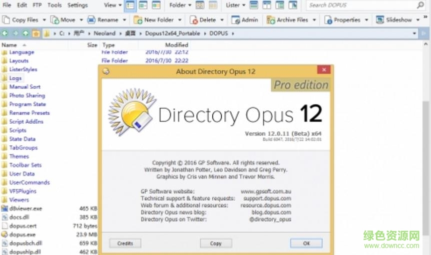 directory opus12绿色版 v12.5 免费版0