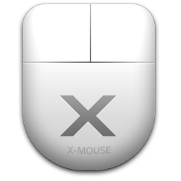 x mouse button