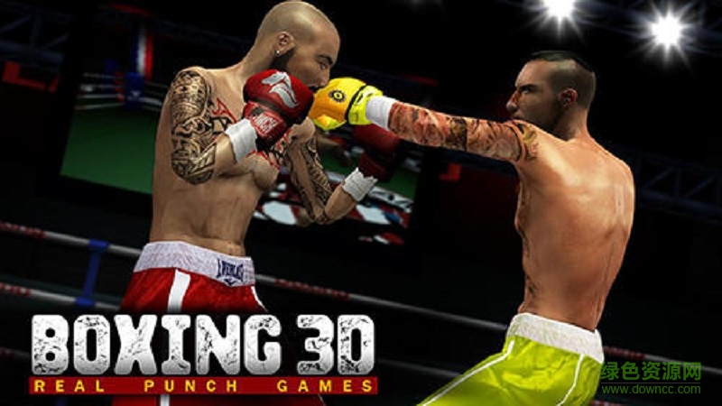 真正的拳击3D(Free Boxing Round Combat) v1.3 安卓版0