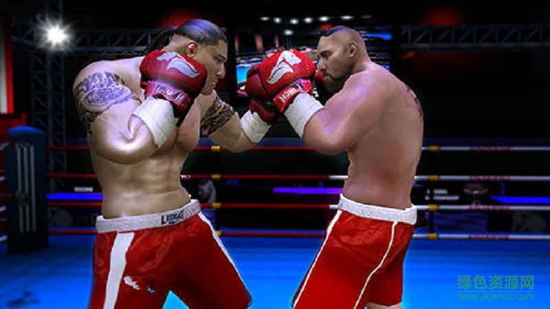 真正的拳击3D(Free Boxing Round Combat) v1.3 安卓版1