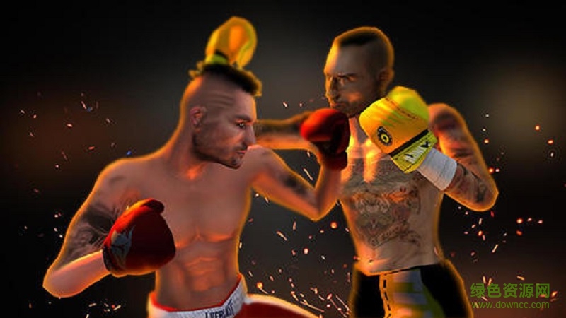 真正的拳击3D(Free Boxing Round Combat) v1.3 安卓版3
