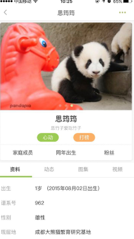 pandapia app