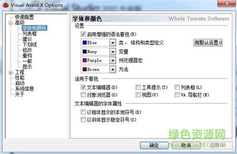visual assist x 2223 正式 中文免费版1