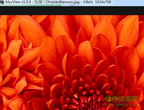 MycView图像浏览器 v1.59 绿色版0
