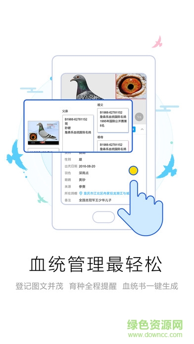 爱鸽者手机版(信鸽查询) v2.9.9 安卓版2