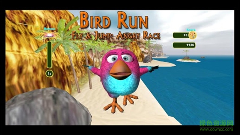 憤怒的種族(Bird Run Fly and Jump)0