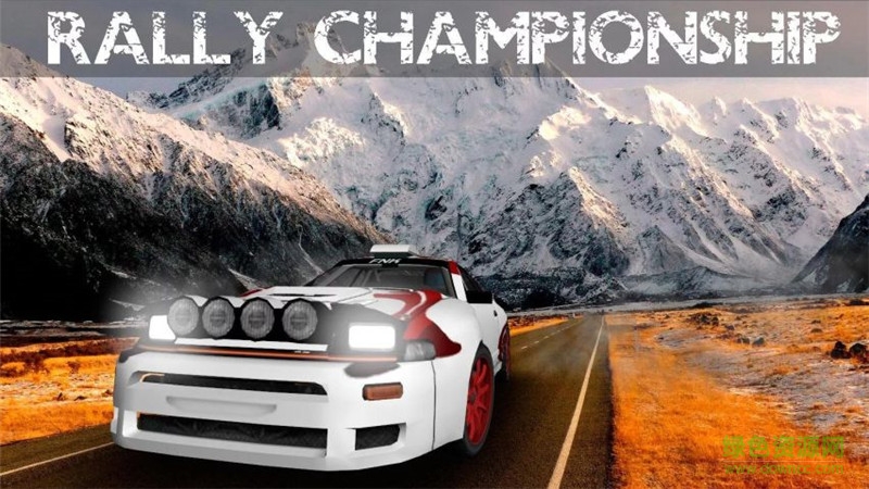 拉力锦标赛(Drift and Rally FREE) v1.0.39 安卓版3