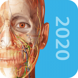 2023人体解剖学图谱苹果版