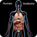 Human Anatomy Atlas 2017 Edition