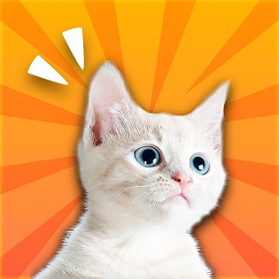 神奇猫哨安卓版下载