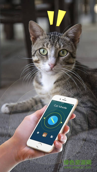神奇猫哨养猫助手 v1.3 安卓版2