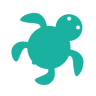 海龟出行app下载