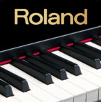 roland罗兰钢琴伴侣2 Piano Partner 2