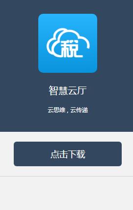 河北省云办税厅2.0登录 免费版0