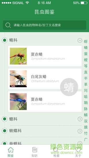 上海昆虫(拍照识别昆虫软件) v1.0 安卓版0