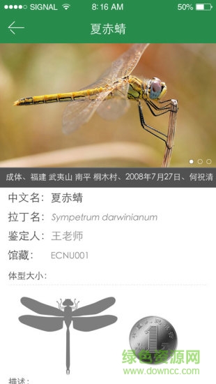 上海昆虫(拍照识别昆虫软件) v1.0 安卓版2