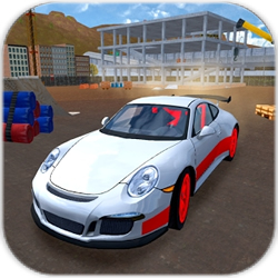 自由行驶(Racing Car Driving Simulator)