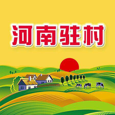 河南驻村第一书记app