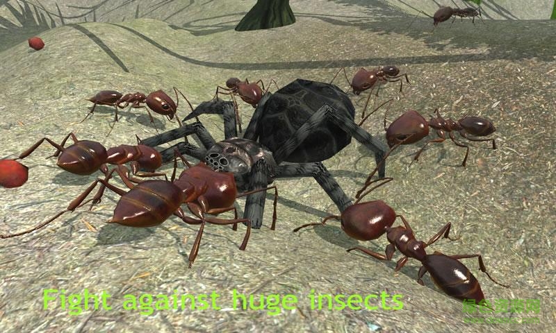 蚂蚁模拟上帝版 v2.5.5 安卓手机版0