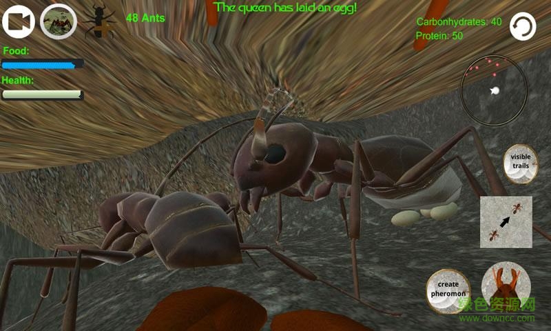 蚂蚁模拟上帝版 v2.5.5 安卓手机版1