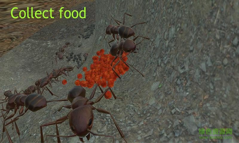 蚂蚁模拟上帝版